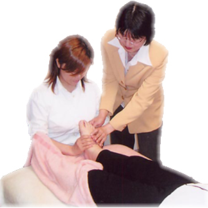 �����^�����̊w�@�̃t�b�g�o�����X�E���t���N�\���W�X�g�{���R�[�X